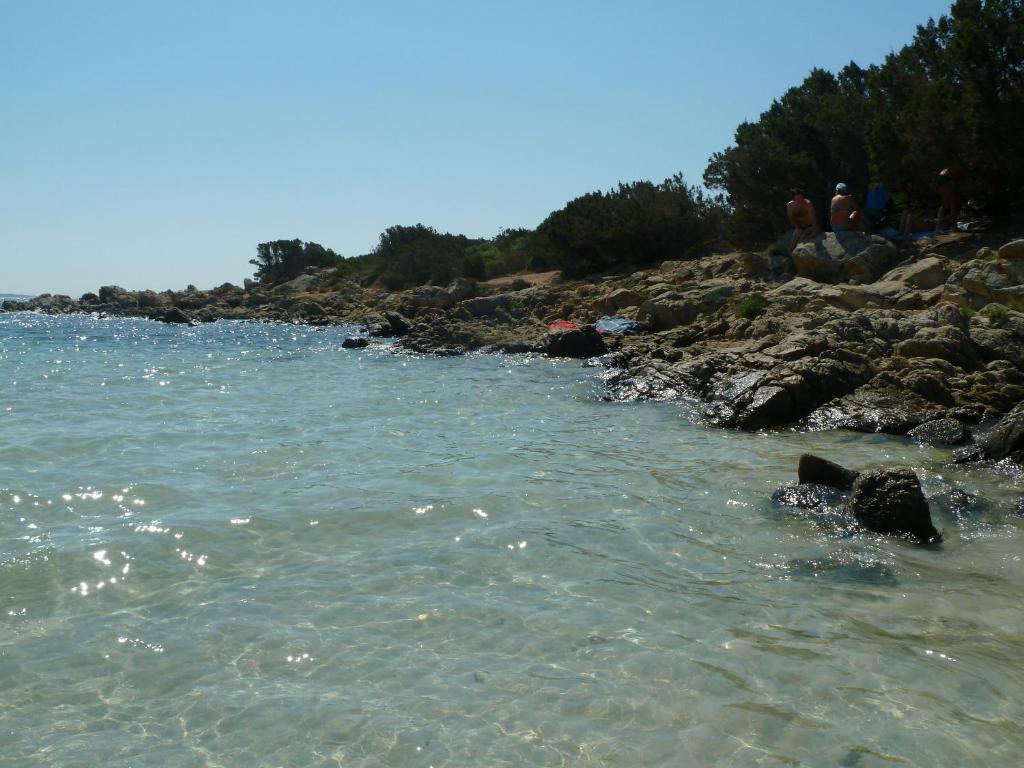 Vaddidulimu *